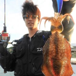 Fisherman Dreams DI 釣果