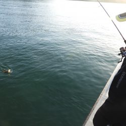 Fisherman Dreams DI 釣果