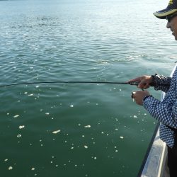 Fisherman Dreams DI 釣果