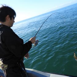 Fisherman Dreams DI 釣果