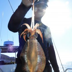 Fisherman Dreams DI 釣果