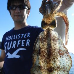 Fisherman Dreams DI 釣果