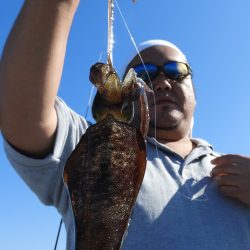 Fisherman Dreams DI 釣果