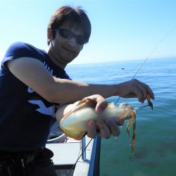 Fisherman Dreams DI 釣果