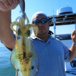 Fisherman Dreams DI 釣果