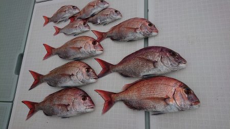 フィッシングボートACE（エース） 釣果