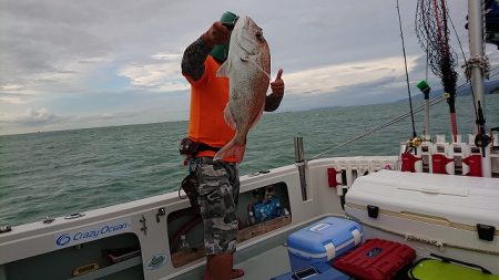 フィッシングボートACE(エース) 釣果