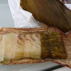 フィッシングボートACE(エース) 釣果