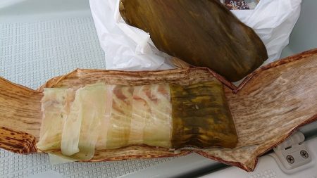 フィッシングボートACE(エース) 釣果