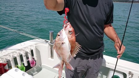 フィッシングボートACE(エース) 釣果