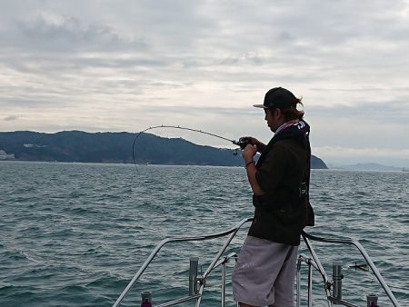 フィッシングボートACE(エース) 釣果