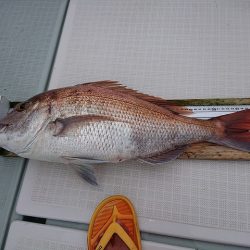 フィッシングボートACE(エース) 釣果