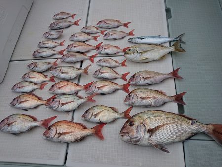 フィッシングボートACE(エース) 釣果