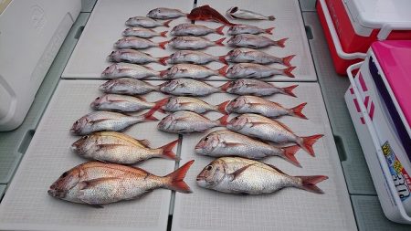 フィッシングボートACE(エース) 釣果