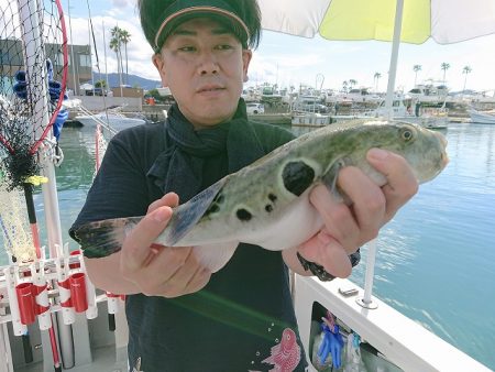 フィッシングボートACE(エース) 釣果