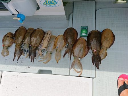 フィッシングボートACE（エース） 釣果