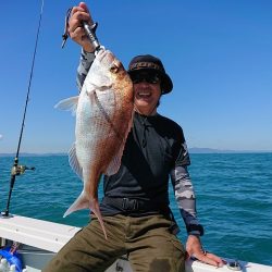 フィッシングボートACE（エース） 釣果