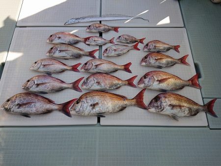 フィッシングボートACE（エース） 釣果