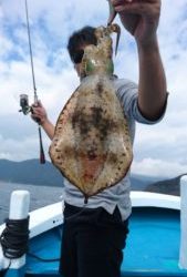 愛海丸 釣果