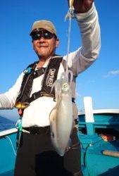 愛海丸 釣果