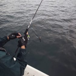 金剛丸 釣果