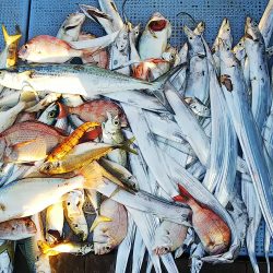 第二常豊丸 釣果