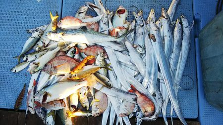 第二常豊丸 釣果