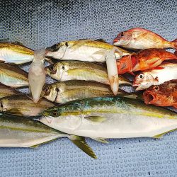 第二常豊丸 釣果