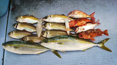 第二常豊丸 釣果