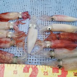 第二常豊丸 釣果