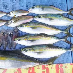 第二常豊丸 釣果