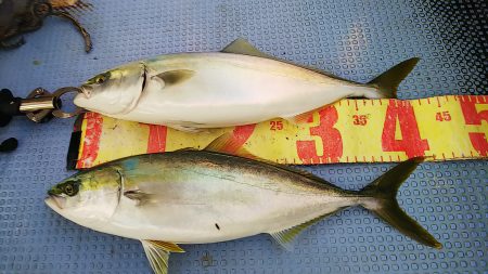 第二常豊丸 釣果