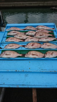 和歌山マリーナシティ釣り堀 釣果