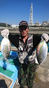 和歌山マリーナシティ釣り堀 釣果