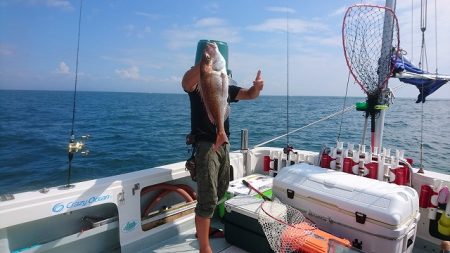 フィッシングボートACE(エース) 釣果