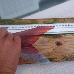 フィッシングボートACE(エース) 釣果