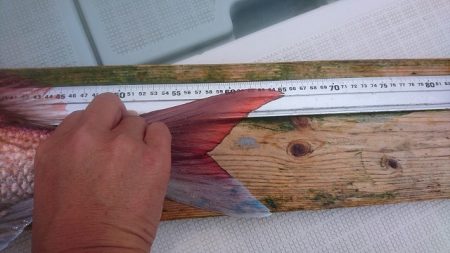 フィッシングボートACE(エース) 釣果