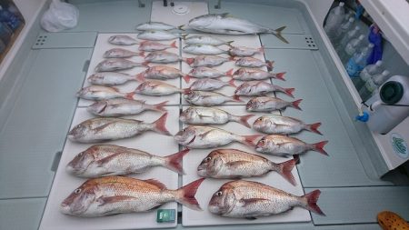 フィッシングボートACE(エース) 釣果