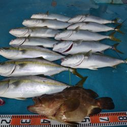 アジアマリンサービス 釣果