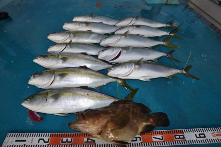 アジアマリンサービス 釣果