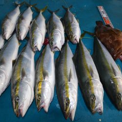 アジアマリンサービス 釣果