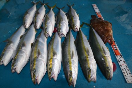 アジアマリンサービス 釣果