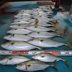 アジアマリンサービス 釣果