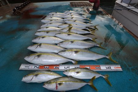 アジアマリンサービス 釣果