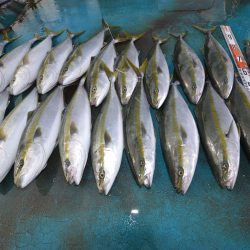 アジアマリンサービス 釣果