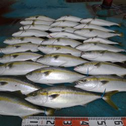 アジアマリンサービス 釣果