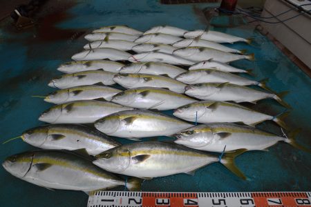 アジアマリンサービス 釣果