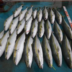 アジアマリンサービス 釣果