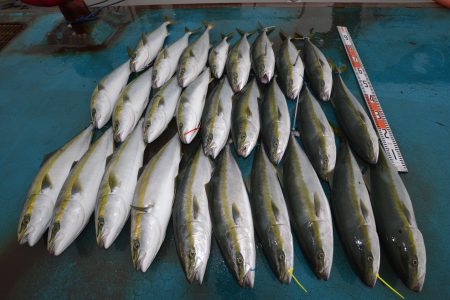 アジアマリンサービス 釣果