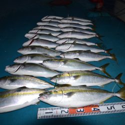 アジアマリンサービス 釣果